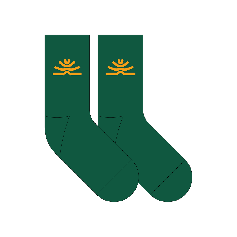 FUTURE SOCKS